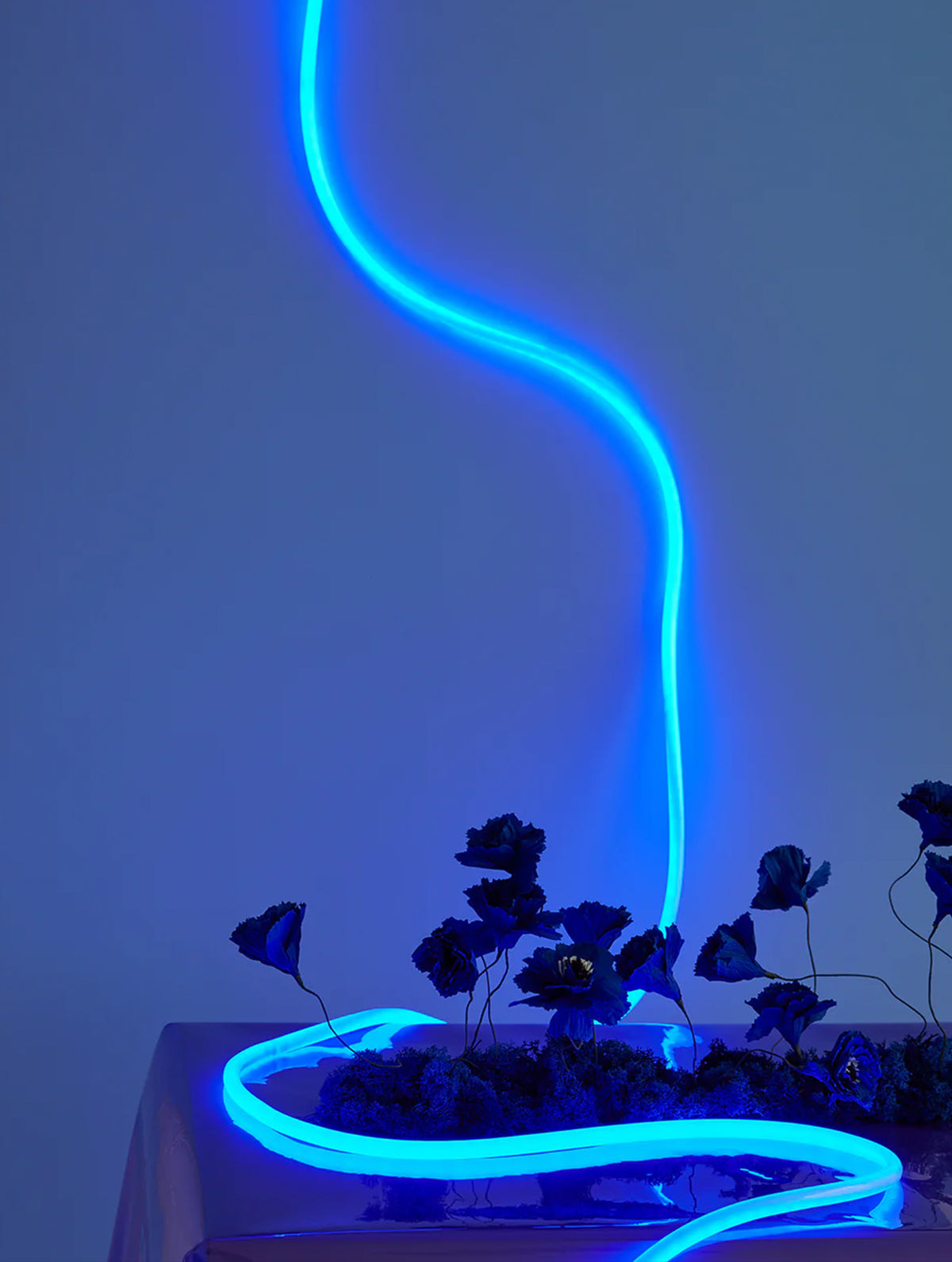 Flex Tube - 5 Meter - Blau