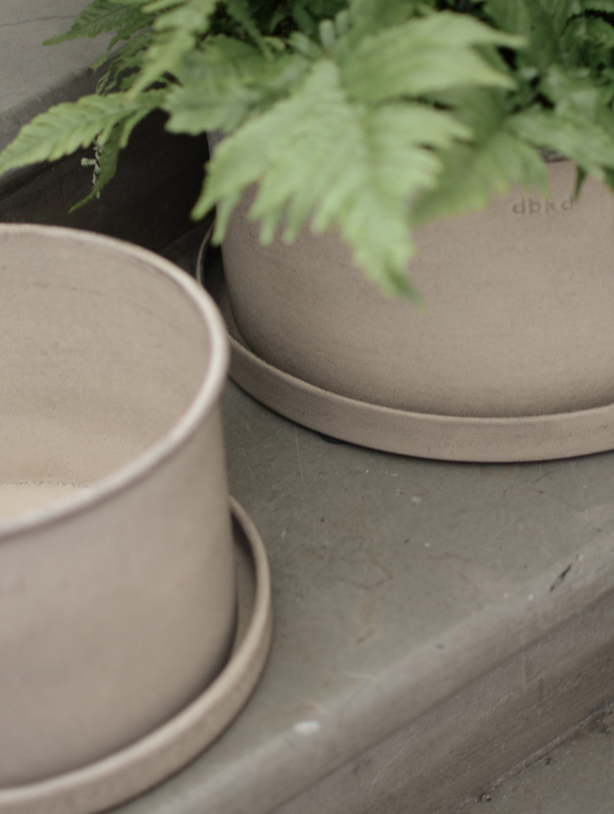 "Plant" Bowl