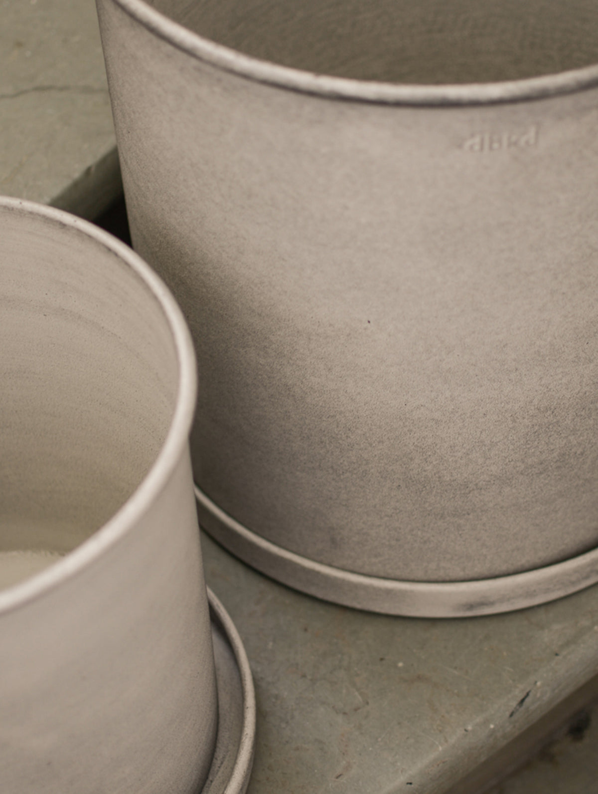 "Plant" Pot