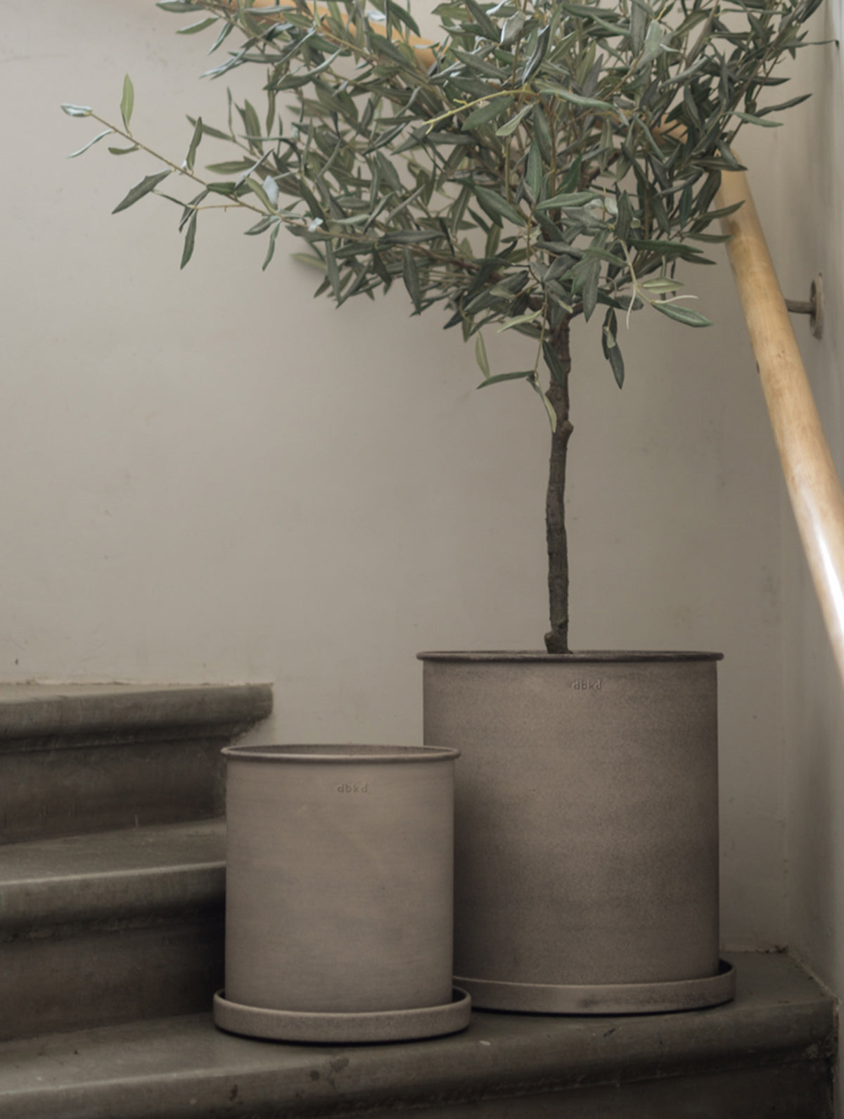 "Plant" Pot