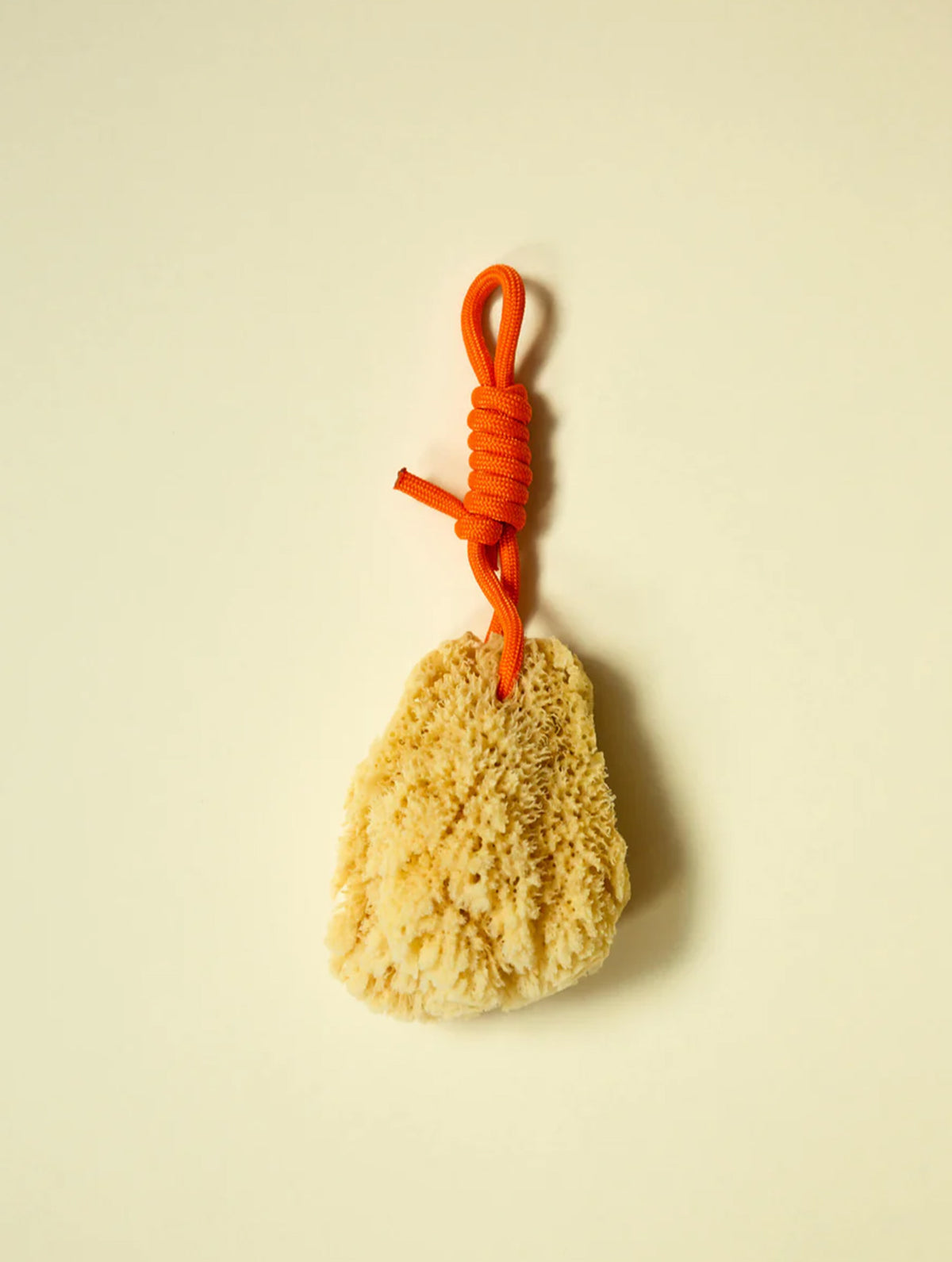 Mediterraner Naturschwamm